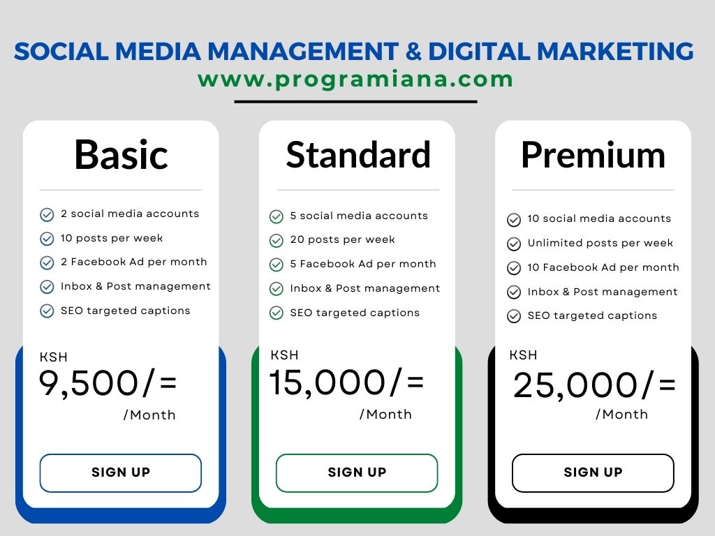 digiting-social-marketing-pricing table.jpg
